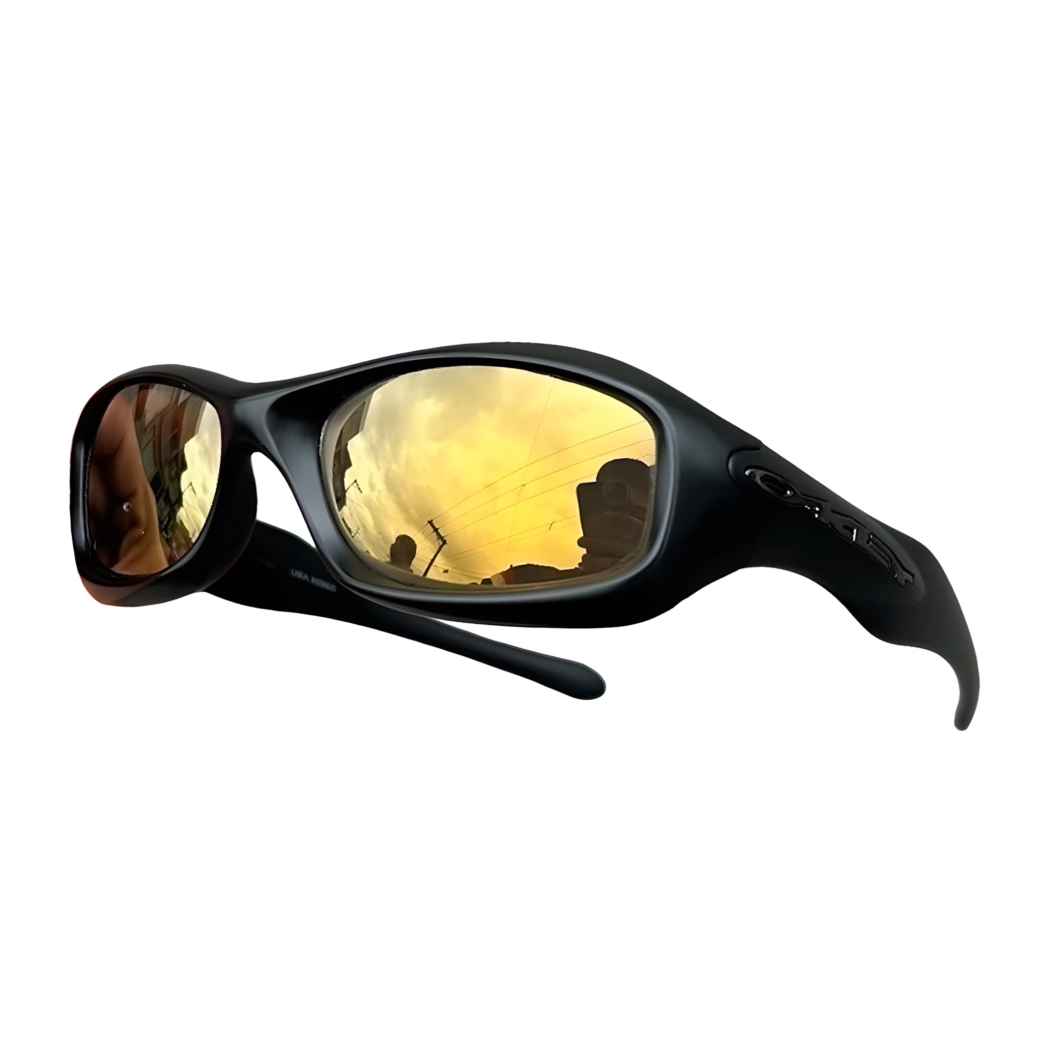 FatCat Matte Black Lente Prizm Gold Café